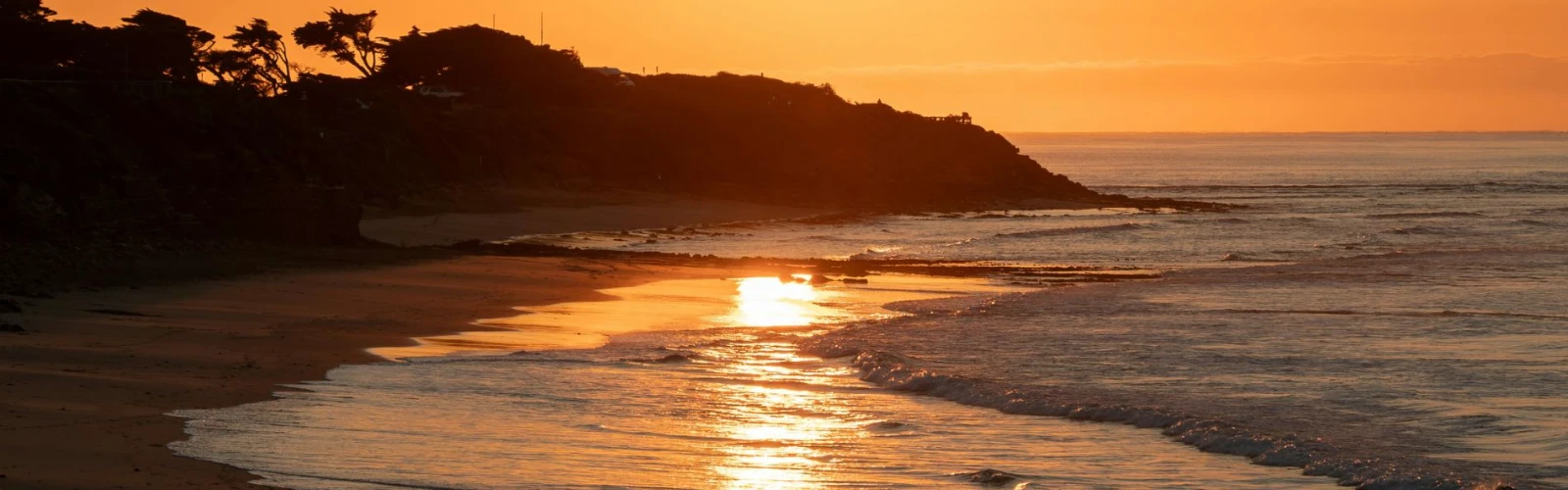 20 Best Things To Do in Huntington Beach, CA