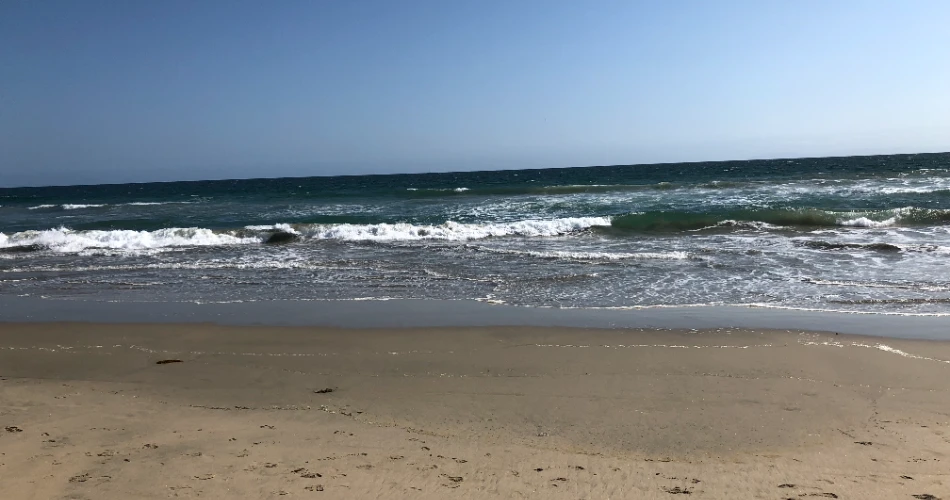 20 Best Things To Do in Huntington Beach, CA