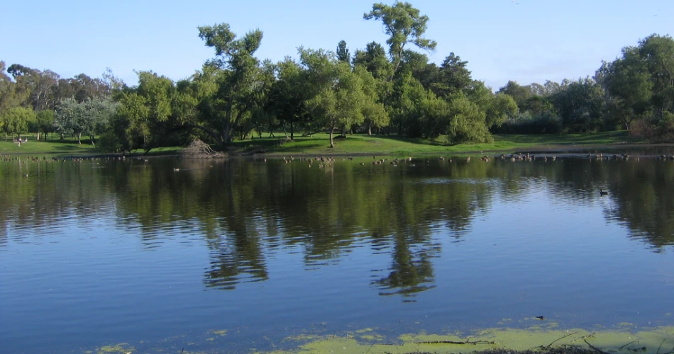 20 Best Things To Do in Huntington Beach, CA