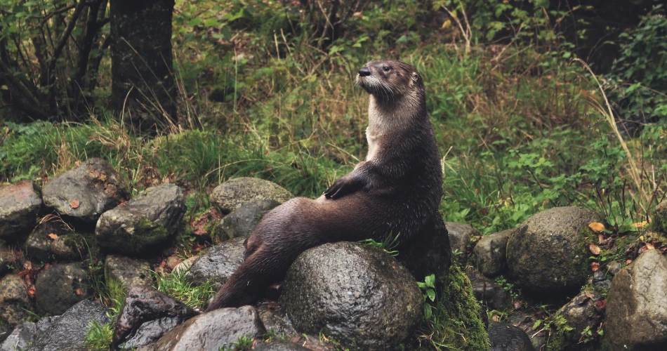 20 Best Things To Do in Huntington Beach, CA