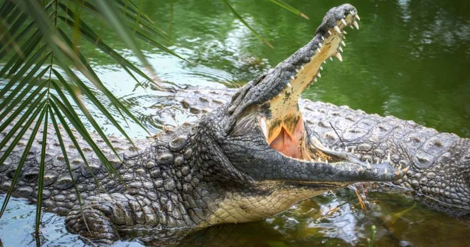 20 Best Things To Do in Huntington Beach, CA