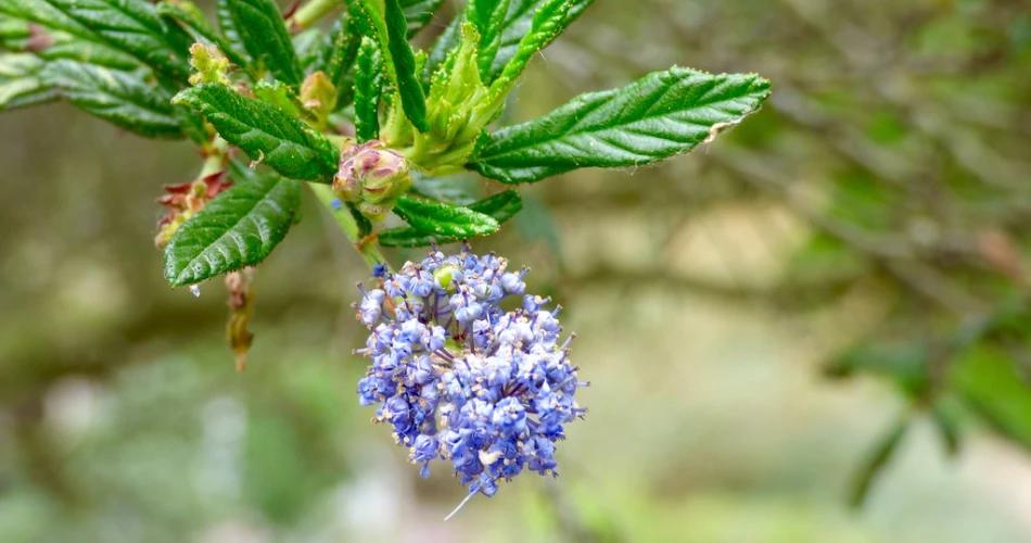 10 Best Things to Do in Huntington Beach With Kids